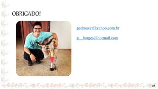 45
OBRIGADO!
pedroavet@yahoo.com.br
p__borges@hotmail.com
 