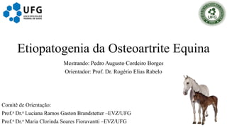 Etiopatogenia da Osteoartrite Equina
Mestrando: Pedro Augusto Cordeiro Borges
Orientador: Prof. Dr. Rogério Elias Rabelo
Comitê de Orientação:
Prof.a Dr.a Luciana Ramos Gaston Brandstetter –EVZ/UFG
Prof.a Dr.a Maria Clorinda Soares Fioravantti –EVZ/UFG
 