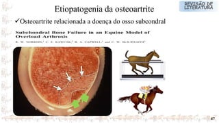 47
Osteoartrite relacionada a doença do osso subcondral
Etiopatogenia da osteoartrite
 