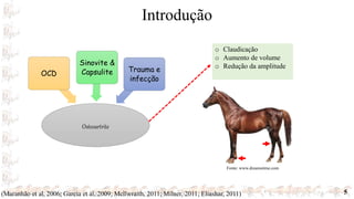 Introdução
5
Osteoartrite
OCD
Sinovite &
Capsulite Trauma e
infecção
o Claudicação
o Aumento de volume
o Redução da amplitude
(Maranhão et al, 2006; Garcia et al, 2009; Mcllwraith, 2011; Milner, 2011; Eliashar, 2011)
Fonte: www.dreamstime.com
 