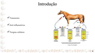 Introdução
6
Fonte: Pro Stride®
Tratamento
Anti-inflamatórios
Terapias celulares
 