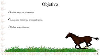 Objetivo
7
Revisar aspectos relevantes
Anatomia, Fisiologia e Etiopatogenia
Melhor entendimento
 