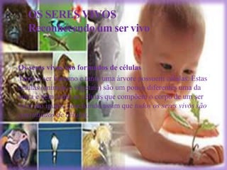 OS SERES VIVOS
    Reconhecendo um ser vivo


• Os seres vivos são formados de células
• Tanto o ser humano e tanto uma árvore possuem células. Estas
 células (animais e vegetais) são um pouco diferentes uma da
 outra e nem todas as células que compõem o corpo de um ser
 vivo são iguais, concluindo assim que todos os seres vivos são
 constituídos de células.
 