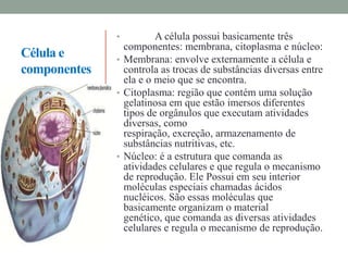 •         A célula possui basicamente três
                componentes: membrana, citoplasma e núcleo:
Célula e      • Membrana: envolve externamente a célula e
componentes     controla as trocas de substâncias diversas entre
                ela e o meio que se encontra.
              • Citoplasma: região que contém uma solução
                gelatinosa em que estão imersos diferentes
                tipos de orgânulos que executam atividades
                diversas, como
                respiração, excreção, armazenamento de
                substâncias nutritivas, etc.
              • Núcleo: é a estrutura que comanda as
                atividades celulares e que regula o mecanismo
                de reprodução. Ele Possui em seu interior
                moléculas especiais chamadas ácidos
                nucléicos. São essas moléculas que
                basicamente organizam o material
                genético, que comanda as diversas atividades
                celulares e regula o mecanismo de reprodução.
 