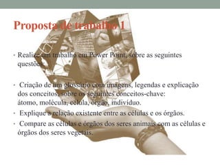 Proposta de trabalho 1

• Realize um trabalho em Power Point, sobre as seguintes
 questões:

• Criação de um glossário com imagens, legendas e explicação
  dos conceitos, sobre os seguintes conceitos-chave:
  átomo, molécula, célula, órgão, indivíduo.
• Explique a relação existente entre as células e os órgãos.
• Compare as células e órgãos dos seres animais com as células e
  órgãos dos seres vegetais.
 