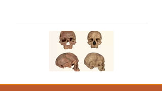 Apresentação1.pptx