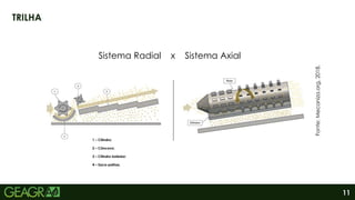 11
TRILHA
Sistema Radial x Sistema Axial
1 – Cilindro;
2 – Côncavo;
3 – Cilindro batedor;
4 – Saca-palhas.
Fonte:
Mecaniza.org,
2018.
 