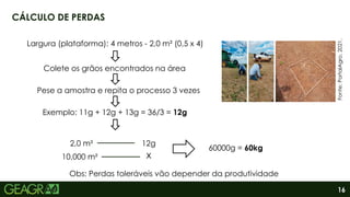 16
CÁLCULO DE PERDAS
Largura (plataforma): 4 metros - 2,0 m² (0,5 x 4)
Colete os grãos encontrados na área
Pese a amostra e repita o processo 3 vezes
Exemplo: 11g + 12g + 13g = 36/3 = 12g
2,0 m² 12g
10,000 m² x
60000g = 60kg
Fonte:
PortalAgro,
2021.
Obs: Perdas toleráveis vão depender da produtividade
 