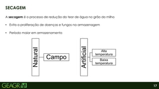 17
SECAGEM
A secagem é o processo de redução do teor de água no grão do milho
• Evita a proliferação de doenças e fungos na armazenagem
• Período maior em armazenamento
Natural
Campo
Artificial
Alta
temperatura
Baixa
temperatura
 