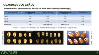 19
QUALIDADE DOS GRÃOS
Fonte:
Conab,
2021.
Fonte:
ESAQL,
2015.
Enquadramento Grãos avariados
Ardidos
Grãos quebrados Impurezas e matérias
estranhas
Carunchados
Tipo 1 1,00 3,00 1,00 2,00
Tipo 2 2,00 4,00 1,50 3,00
Tipo 3 3,00 5,00 2,00 4,00
Fora do tipo 5,00 Maior que 5.00 Maior que 2,00 8,00
Limites máximos de tolerância de defeitos em milho, expressos em percentuais (%)
Tabela 1 – Limites de tolerância em defeitos. Elaborado por: Ana Carolina Cabral, 2023.
 