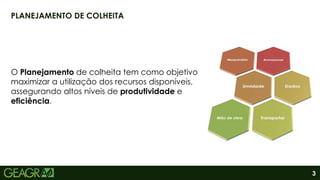 3
PLANEJAMENTO DE COLHEITA
O Planejamento de colheita tem como objetivo
maximizar a utilização dos recursos disponíveis,
assegurando altos níveis de produtividade e
eficiência.
 