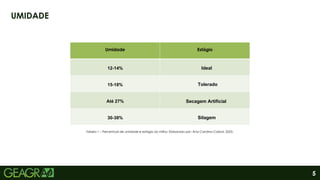 5
UMIDADE
Umidade Estágio
12-14%
15-18%
Até 27%
30-38%
Tabela 1 – Percentual de umidade e estágio do milho. Elaborado por: Ana Carolina Cabral, 2023.
Ideal
Tolerado
Secagem Artificial
Silagem
 