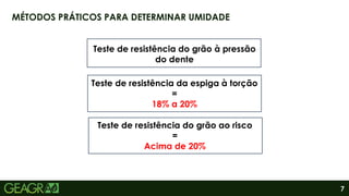 7
MÉTODOS PRÁTICOS PARA DETERMINAR UMIDADE
Teste de resistência do grão à pressão
do dente
Teste de resistência da espiga à torção
=
18% a 20%
Teste de resistência do grão ao risco
=
Acima de 20%
 