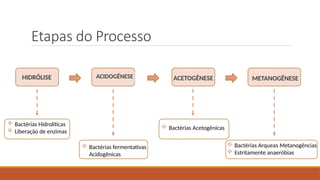 Etapas do Processo
ACIDOGÊNESE ACETOGÊNESE
HIDRÓLISE METANOGÊNESE
 Bactérias Hidrolíticas
 Liberação de enzimas
 Bactérias fermentativas
Acidogênicas
 Bactérias Acetogênicas
 Bactérias Arqueas Metanogências
 Estritamente anaeróbias
 