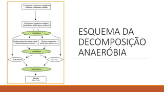 ESQUEMA DA
DECOMPOSIÇÃO
ANAERÓBIA
 