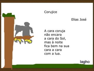 Corujice Elias José  A cara coruja não encara a cara do Sol, mas à noite fica bem na sua cara a cara com a lua. 