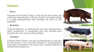 Suínas
 Duroc
Originária dos Estados Unidos, é uma raça de carne suína com
carne bem marmorizada e saborosa. Possui crescimento rápido
e é usada principalmente para produção de carne de alta
qualidade.
 Berkshire
Vinda da Inglaterra, é conhecida por sua carne marmorizada e
sabor excepcional. É considerada uma raça premium para
produção de carne suína de alta qualidade.
 Yorkshire
Criada no Reino Unido, essa raça é conhecida por sua alta taxa
de crescimento e boa conversão alimentar. É frequentemente
usada para cruzamentos com outras raças visando melhorar as
características produtivas.
 