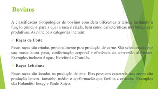 Bovinos
A classificação biotipológica de bovinos considera diferentes critérios, incluindo a
função principal para a qual a raça é criada, bem como características morfológicas e
produtivas. As principais categorias incluem:
 Raças de Corte:
Essas raças são criadas principalmente para produção de carne. São selecionadas por
sua musculatura, peso, conformação corporal e eficiência de conversão alimentar.
Exemplos incluem Angus, Hereford e Charolês.
 Raças Leiteiras:
Essas raças são focadas na produção de leite. Elas possuem características como alta
produção leiteira, tamanho médio e conformação que facilita a ordenha. Exemplos
são Holandês, Jersey e Pardo Suíço.
 