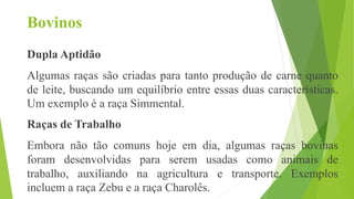 Bovinos
Dupla Aptidão
Algumas raças são criadas para tanto produção de carne quanto
de leite, buscando um equilíbrio entre essas duas características.
Um exemplo é a raça Simmental.
Raças de Trabalho
Embora não tão comuns hoje em dia, algumas raças bovinas
foram desenvolvidas para serem usadas como animais de
trabalho, auxiliando na agricultura e transporte. Exemplos
incluem a raça Zebu e a raça Charolês.
 