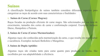 Suínos
A classificação biotipológica de suínos também considera diferentes aspectos para
categorizar as raças de acordo com suas características e finalidades:
1. Suínos de Carne (Carnes Magras):
Raças focadas na produção eficiente de carne magra. São selecionados por sua taxa de
crescimento, tamanho dos cortes de carne e conformação corporal. Exemplos incluem
Duroc, Hampshire e Pietrain.
2. Suínos de Carne (Carnes Marmorizadas):
Algumas raças são conhecidas pela marmorização da carne, o que resulta em maior sabor
e suculência. Exemplos incluem Berkshire e Mangalitsa.
3. Suínos de Dupla Aptidão:
Algumas raças são criadas tanto para carne quanto para produção de banha. São
escolhidos por sua adaptabilidade e eficiência.
 
