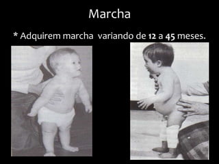 Marcha
* Adquirem marcha variando de 12 a 45 meses.
 