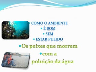  COMO O AMBIENTE
 É BOM
 SEM
 ESTAR PULIDO



 