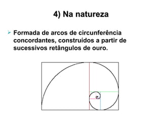 4) Na natureza Formada de arcos de circunferência concordantes, construídos a partir de sucessivos retângulos de ouro. 