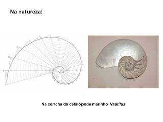Na natureza: Na concha do cefalópode marinho  Nautilus 