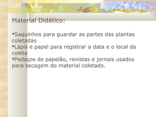 Material Didático:
Saquinhos para guardar as partes das plantas
coletadas
Lápis e papel para registrar a data e o local da
coleta
Pedaços de papelão, revistas e jornais usados
para secagem do material coletado.
 
