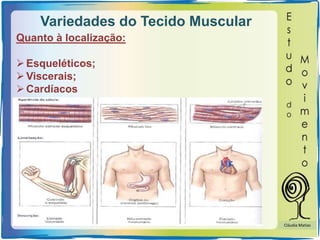 Variedades do Tecido Muscular
Quanto à localização:
Esqueléticos;
Viscerais;
Cardíacos
Cláudia Matias
 