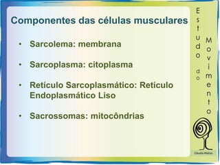 Componentes das células musculares
• Sarcolema: membrana
• Sarcoplasma: citoplasma
• Retículo Sarcoplasmático: Retículo
Endoplasmático Liso
• Sacrossomas: mitocôndrias
Cláudia Matias
 