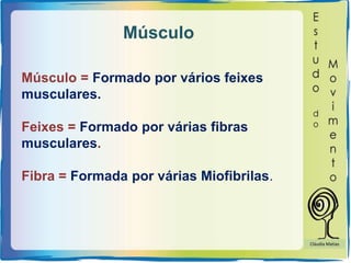 Músculo
Músculo = Formado por vários feixes
musculares.
Feixes = Formado por várias fibras
musculares.
Fibra = Formada por várias Miofibrilas.
Cláudia Matias
 