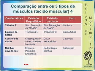 Comparação entre os 3 tipos de
músculos (tecido muscular) 4
Caraterísticas Estriado
Esquelético
Estriado
cardíaco
Liso
Túbulos T Sim. Formação
da TRÍADE
Sim. Formação
da DÍADE
Nenhum
Ligação de
Cálcio
Troponina C Troponina C Calmodulina
Controle de
cálcio
Clasenquestrin
a nas cisternas
terminais
Ca 2+
extracelular
Cavéolas
Bainhas
envoltórias
Epimísio
Perimísio
Endomísio
Endomísio e
bainhas
Endomísio
… Cláudia Matias
 