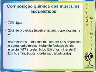 Composição química dos músculos
esqueléticos
- 75% água;
- 20% de proteínas (mosina, actina, tropomiosina, e
etc);
- 5% restantes - são constituídos por sais orgânicos
e outras substâncias, incluindo fosfatos de alta
energia (ATP), ureia, ácido lático, os minerais C,
Mg, P, aminoácidos, gorduras, carbohidratos.
Cláudia Matias
 