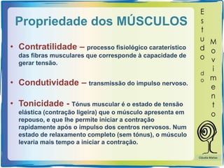Propriedade dos MÚSCULOS
• Contratilidade – processo fisiológico caraterístico
das fibras musculares que corresponde à capacidade de
gerar tensão.
• Condutividade – transmissão do impulso nervoso.
• Tonicidade - Tónus muscular é o estado de tensão
elástica (contração ligeira) que o músculo apresenta em
repouso, e que lhe permite iniciar a contração
rapidamente após o impulso dos centros nervosos. Num
estado de relaxamento completo (sem tónus), o músculo
levaria mais tempo a iniciar a contração.
Cláudia Matias
 