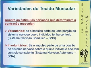 Variedades do Tecido Muscular
Quanto ao estímulos nervosos que determinam a
contração muscular:
Voluntários: se o impulso parte de uma porção do
sistema nervoso que o indivíduo tenha controlo
(Sistema Nervoso Somático – SNS).
Involuntários: Se o impulso parte de uma porção
do sistema nervoso sobre o qual o indivíduo não tem
controlo consciente (Sistema Nervoso Autónomo –
SNA).
Cláudia Matias
 