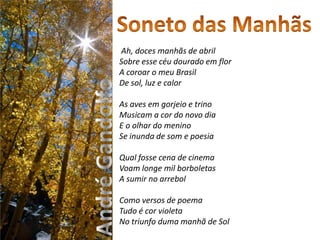 Soneto das Manhãs Ah, doces manhãs de abrilSobre esse céu dourado em florA coroar o meu BrasilDe sol, luz e calor As aves em gorjeio e trinoMusicam a cor do novo diaE o olhar do meninoSe inunda de som e poesia Qual fosse cena de cinemaVoam longe mil borboletasA sumir no arrebol Como versos de poemaTudo é cor violetaNo triunfo duma manhã de SolAndré Gandolfo