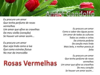 André GandolfoEu procuro um amorQue tenha perfume de rosas vermelhasUm amor que afine as cravelhasDo meu violão (coração)Se houver um amor assim... Eu procuro um amorQue seja lindo como a luaQue como estrelas flutuaNo mar da imensidãoEu procuro um amorComo o sabor das águas purasUm amor de todas as culturasTodos os credos e ceitasDa sintonia perfeitaDa canção mais lindaMais bela, e melhor poesia já feita Eu procuro um amorQue tenha perfume de rosas vermelhasUm amor que afine as cravelhasDo meu coraçãoSe houver um amor assim...Rosas Vermelhas