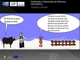 Instalação e Operação de Sistemas InformáticosProjecto  EfacilerElaborado por: Cristina Rocha                            Elisabete Carvalho                            Filipe Peixoto                            Miguel Monteiro                            Miguel Leite