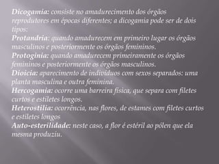 Falenofilia: através de mariposas;