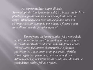 	As espermatófitas, super-divisão   Spermatophyta  (ou Spermatopsida) é o taxon que inclui as plantas que produzem sementes. São plantas com o corpo  diferenciado em raiz, caule e folhas, com um sistema vascular composto por xilema e floema e com uma alternância de gerações especial:	Fanerógama ou fanerogâmica  foi o nome dado ao filo do Reino Plantae (plantas) de seres vivos que apresentam estruturas denominadas de flores, órgãos reprodutores facilmente observáveis. As plantas pertencentes a este taxon eram por vezes referidas como vegetais superiores e, para além de flores diferenciadas, apresentam vasos condutores de seiva  e verdadeiros caules, folhas e raízes.
