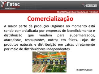 Comercialização
A maior parte da produção Orgânica no momento está
sendo comercializada por empresas de beneficiamento e
distribuição que vendem para supermercados,
atacadistas, restaurantes, outros em feiras, Lojas de
produtos naturais e distribuição em caixas diretamente
por meio de distribuidores independentes.
Imagem: Google
 