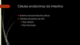 Células endócrinas do intestino
 Sistema neuroendócrino difuso
 Células secretoras do TGI
Tipo Aberto
Tipo Fechado
 