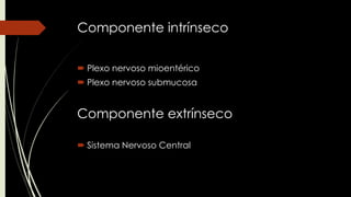 Componente intrínseco
 Plexo nervoso mioentérico
 Plexo nervoso submucosa
Componente extrínseco
 Sistema Nervoso Central
 