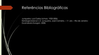 Referências Bibliográficas
Junqueira, Luiz Carlos Uchoa, 1920-2006
Histologia básica/ L.C Junqueira, José Carneiro. – 11 .ed. – Rio de Janeiro:
Guanabara Koogan, 2008.
 