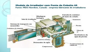 Modelo de Irradiador com Fonte de Cobalto 60
Fonte: MDS Nordion, Canadá - empresa fabricante de irradiadores
 