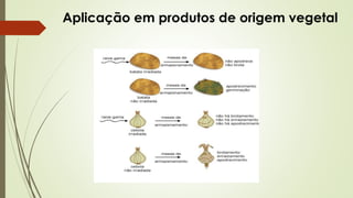 Aplicação em produtos de origem vegetal
 