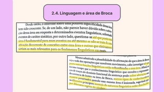 2.4. Linguagem e área de Broca
 
