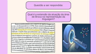 Questão a ser respondida:
Qual é a extensão da atuação da área
de Broca na representação da
linguagem?
 