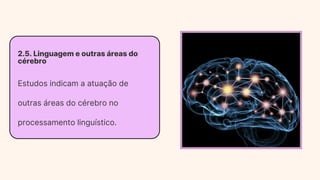 2.5. Linguagem e outras áreas do
cérebro
Estudos indicam a atuação de
outras áreas do cérebro no
processamento linguístico.
 
